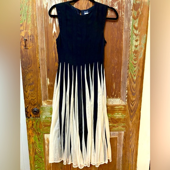 Black and Ivory Mesh Striped Dress - Picture 1 of 8